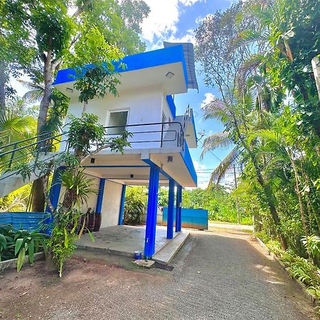 Bed and Breakfast Jungle Fence Bentota Exterior foto