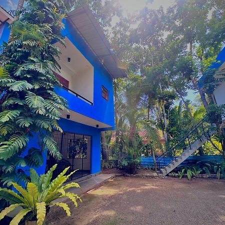 Bed and Breakfast Jungle Fence Bentota Exterior foto
