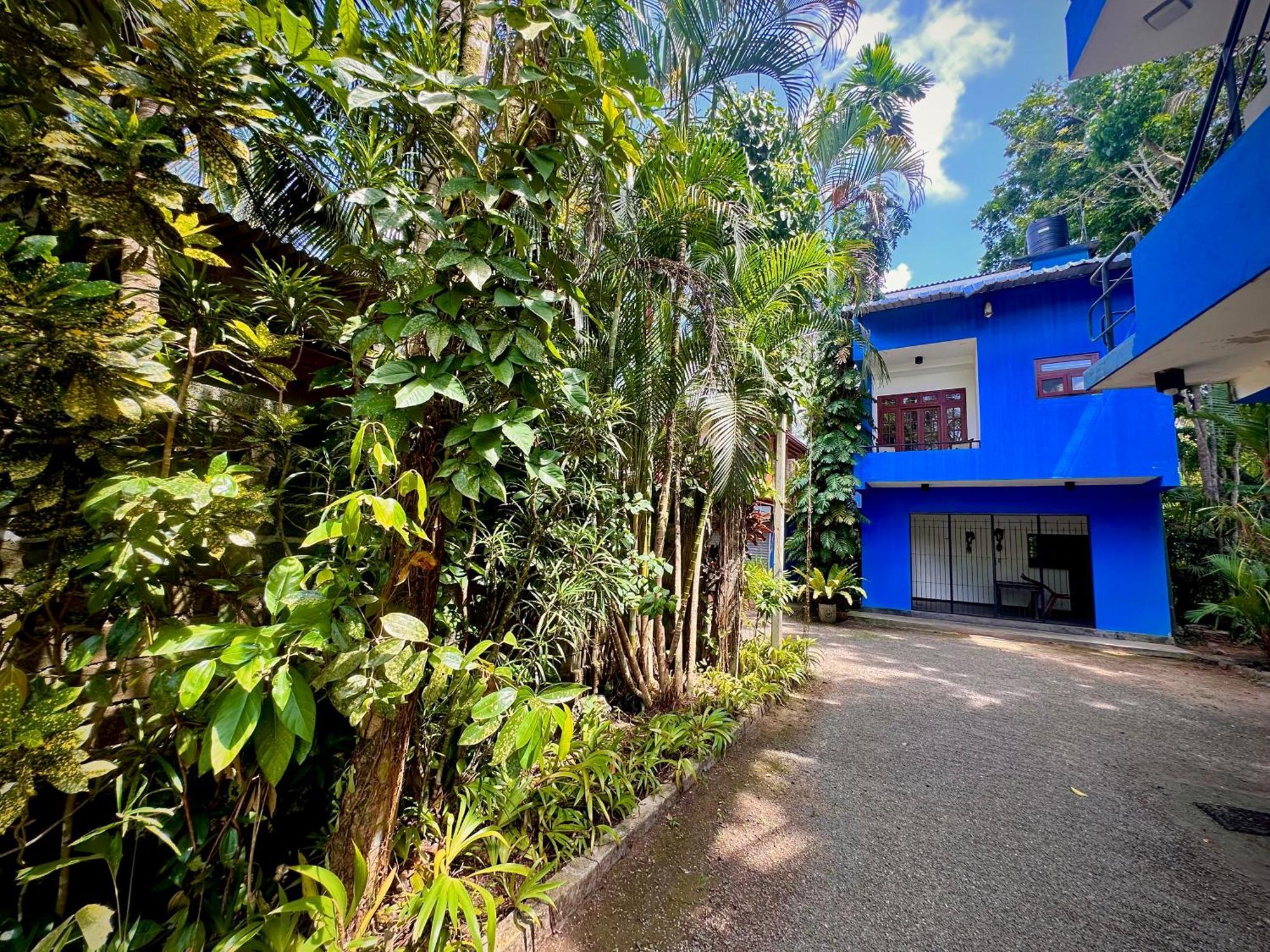 Bed and Breakfast Jungle Fence Bentota Exterior foto