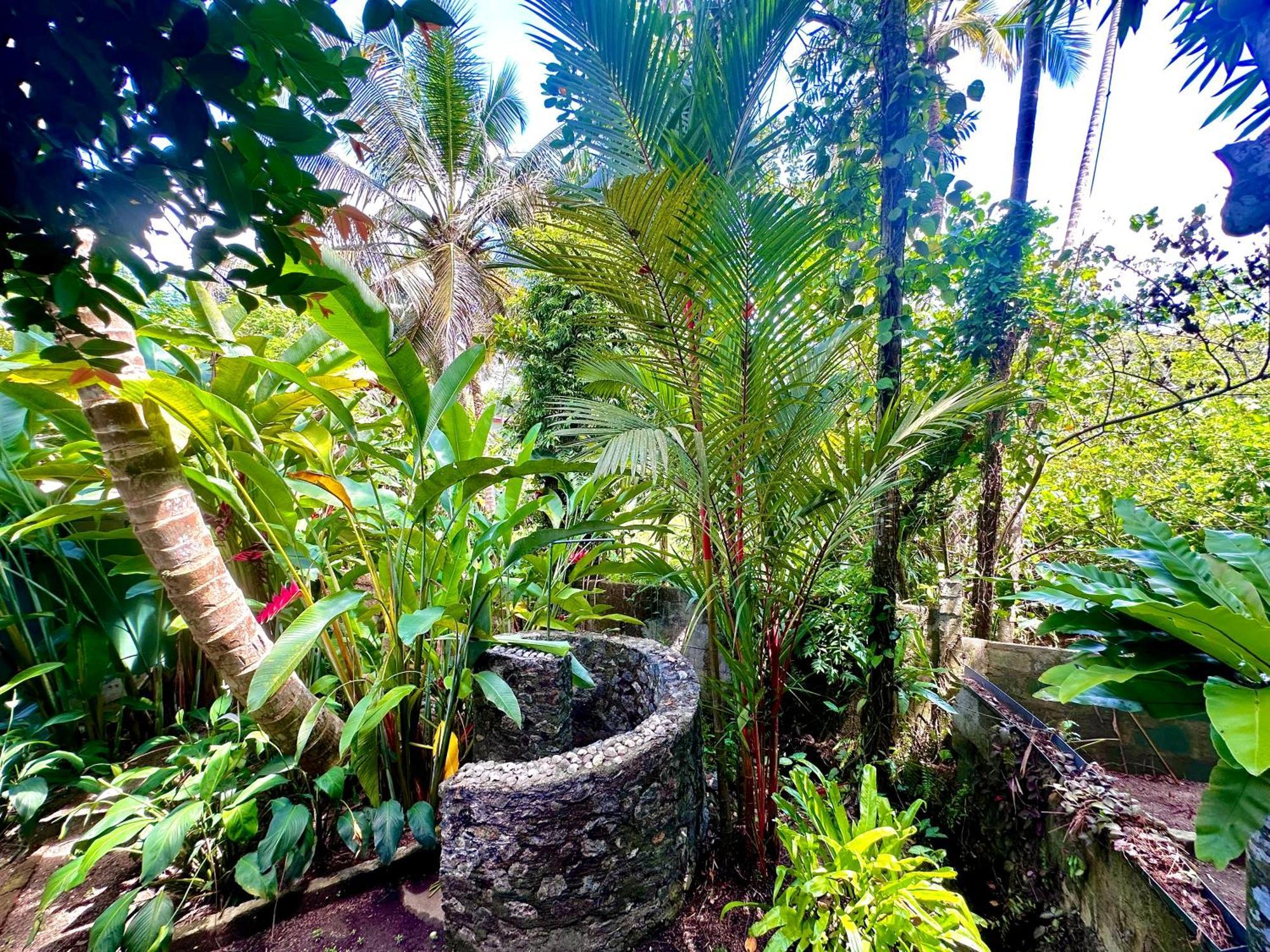 Bed and Breakfast Jungle Fence Bentota Exterior foto
